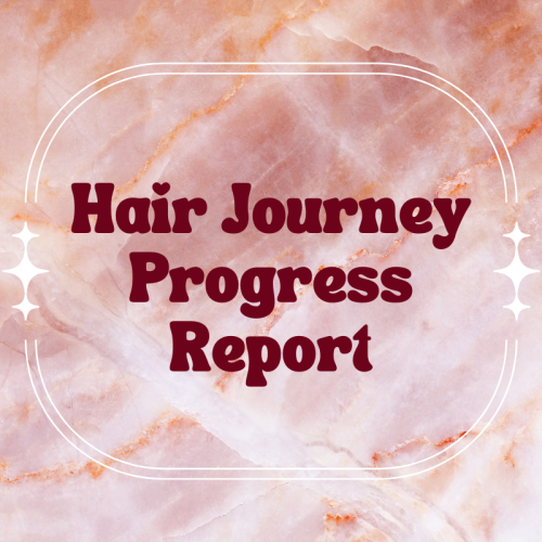 Hair Journey Progress Report