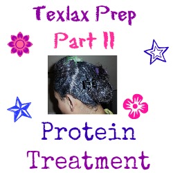 Part 2 texlax protein treatment step