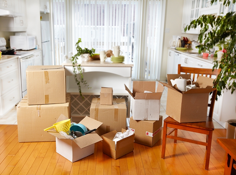 Top 5 Moving Tips For Stress Free Moving http://www.justtiki.com